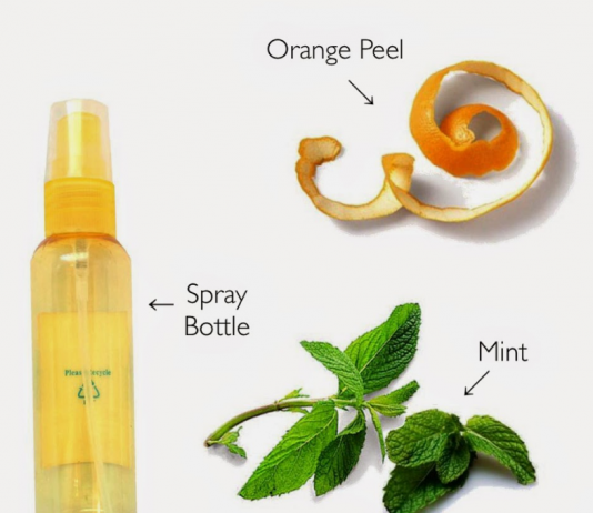 Homemade Orange Peel and Mint Facial Toner by Geeta Seth