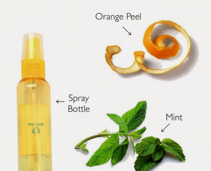 Homemade Orange Peel and Mint Facial Toner by Geeta Seth