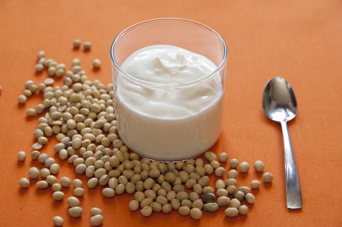 Vegan Soya Milk Yogurt