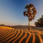 7-Magnificent-Deserts-to-Visit-in-Indonesia-Oetune-Beach