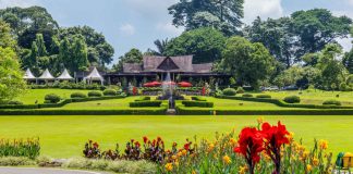 8-Iconic-Natural-Attractions-In-and-Around-Jakarta-Bogor-Botanica-Gardens