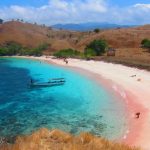 The-Marvelous-Pink-Beach-at-Labuan-Bajo-Pink-Beach-at-Flores