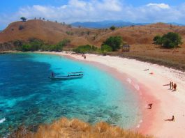 The-Marvelous-Pink-Beach-at-Labuan-Bajo-Pink-Beach-at-Flores
