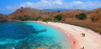 The-Marvelous-Pink-Beach-at-Labuan-Bajo-Pink-Beach-at-Flores