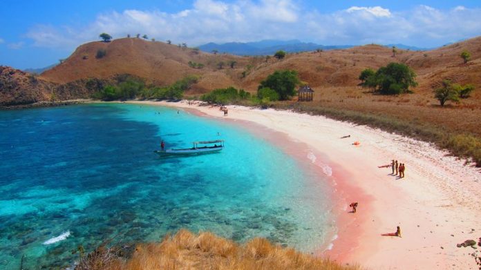 The-Marvelous-Pink-Beach-at-Labuan-Bajo-Pink-Beach-at-Flores