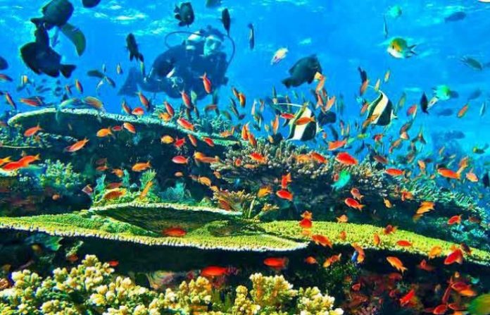 Pulau Komodo