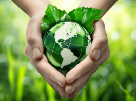 Indoindians Weekly Newsletter: Are You A Green Activist?