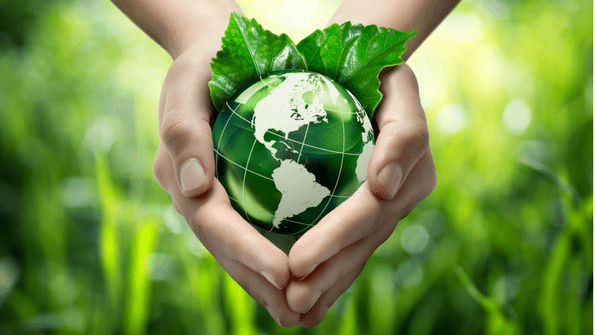 Indoindians Weekly Newsletter: Are You A Green Activist?