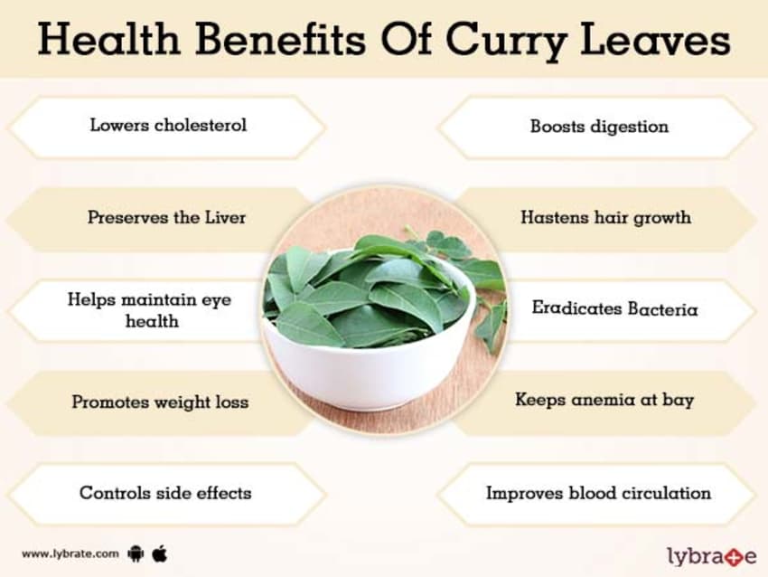 Top Ten Benefits of Curry Leaves for Hair Growth  Be Beautiful India  Be  Beautiful India
