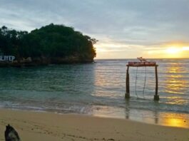 16 Nature Destinations To Visit in Malang 16 Nature Destinations To Visit in Malang: Ngliyep Beach