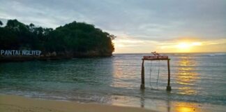 16 Nature Destinations To Visit in Malang: Ngliyep Beach