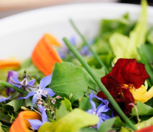 6 Edible Flowers That Are Full of Nutrition