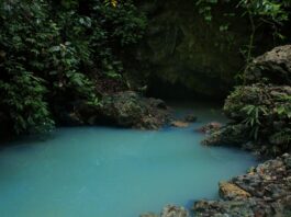 5 Fun Locations in Pangandaran, West Java: Cagar Alam Pananjung