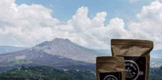 Discover Coffee Plantations in Indonesia: Kintamani Coffee