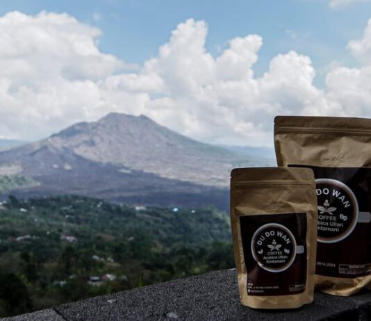 Discover Coffee Plantations in Indonesia: Kintamani Coffee