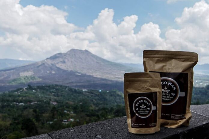 Discover Coffee Plantations in Indonesia: Kintamani Coffee