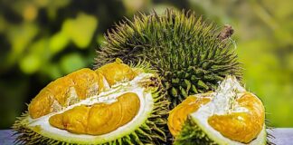 Know More About The Rare Fruits of Indonesia: Lai