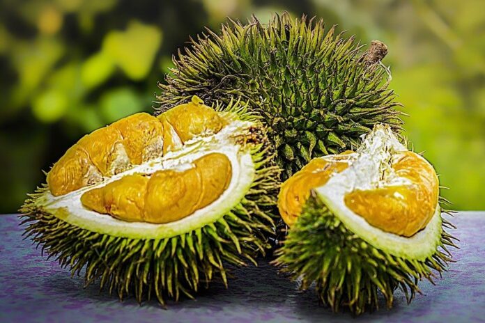 Know More About The Rare Fruits of Indonesia: Lai
