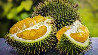 know-more-about-the-rare-fruits-of-indonesia