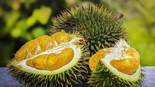 know-more-about-the-rare-fruits-of-indonesia
