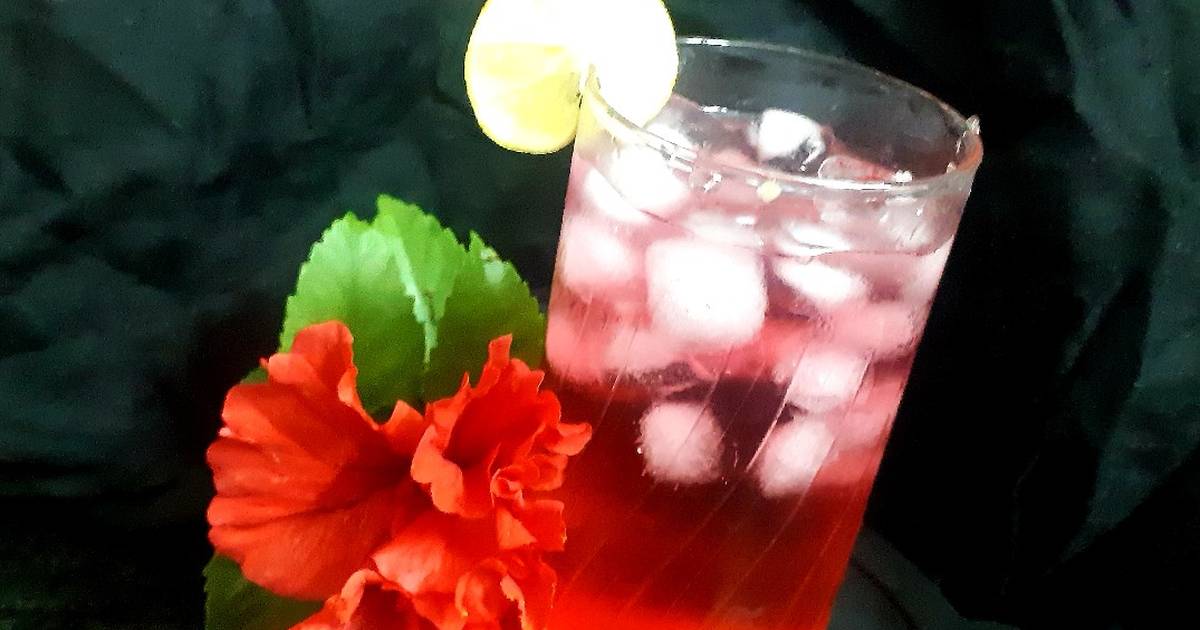 hibiscus lemonade