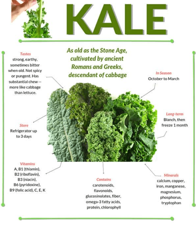All About Kale