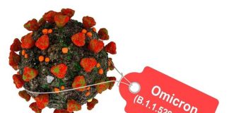 All About the Omicron Virus