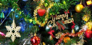 Indoindians Weekly Newsletter: Counting Down to Christmas ?