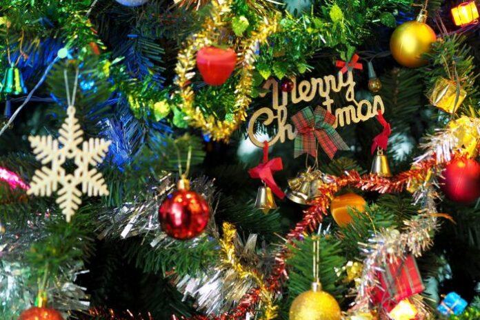 Indoindians Weekly Newsletter: Counting Down to Christmas ?