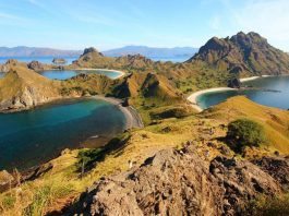 Indoindians Weekly Newsletter: Welcome Back to Indonesia!