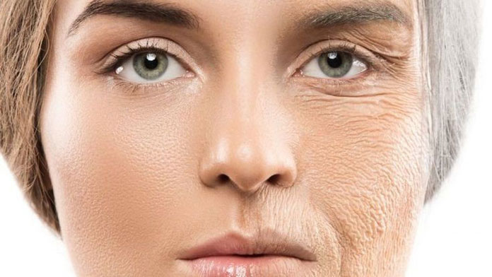 6 Ingredients For Effective Anti-Aging