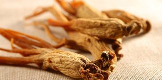 7 Health Benefits of #RedGinseng