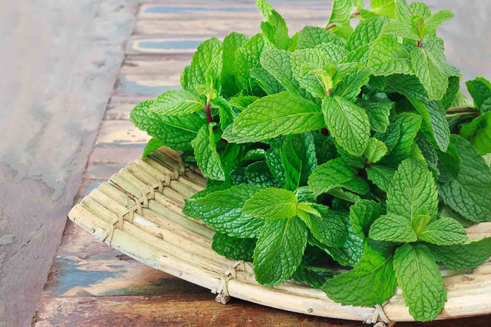 Make Chaach (buttermilk) for Weight Loss!: Tip 5: Mint