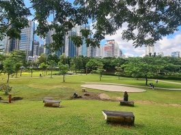 Here’s Your Sign to Explore Jakarta’s Beautiful Outdoors: GBK City Forest