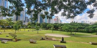 Here’s Your Sign to Explore Jakarta’s Beautiful Outdoors: GBK City Forest