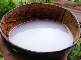 5 Traditional Indonesian Alcohol Beverages to Check Out! 5 Traditional Indonesian Alcohol Beverages to Check Out!