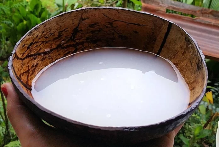 5 Traditional Indonesian Alcohol Beverages to Check Out!
