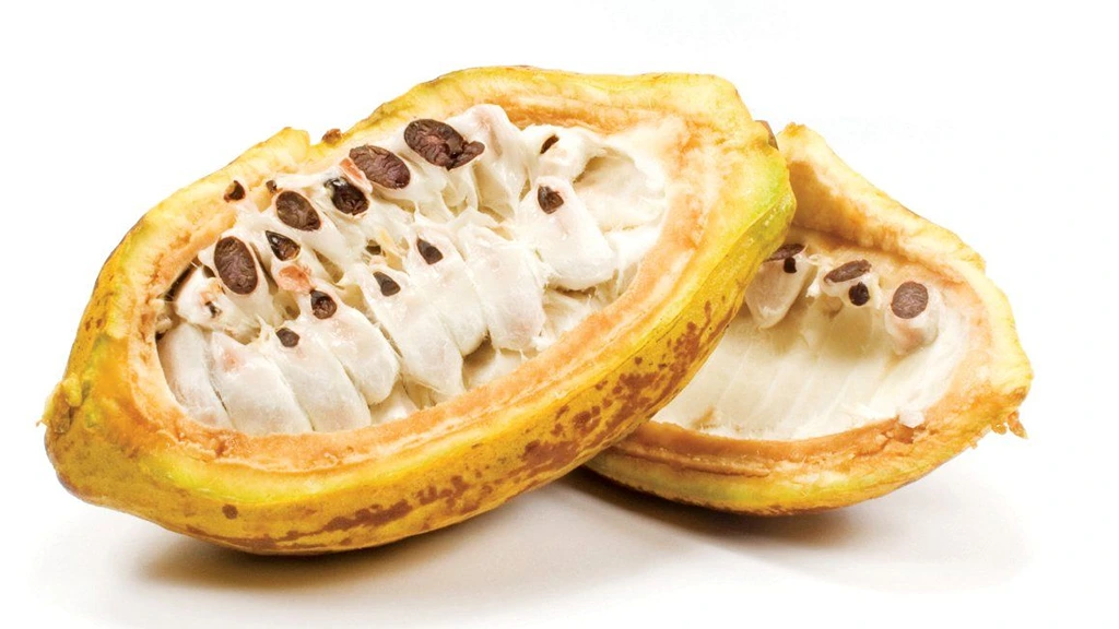 Biggest Food Trends of 2024 Cacao Pulp