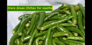 How to Keep Green Chilies Fresh for a Long Time