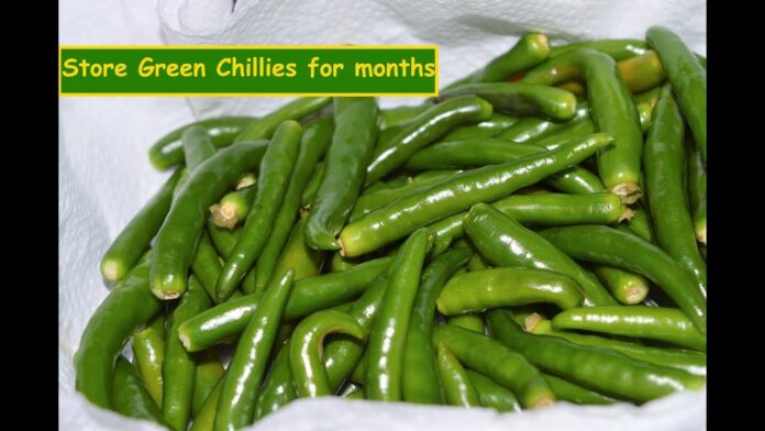 How to Keep Green Chilies Fresh for a Long Time
