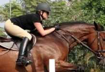 The Best 9 Horse Riding Classes in and Around Jakarta Trijaya Equestrian