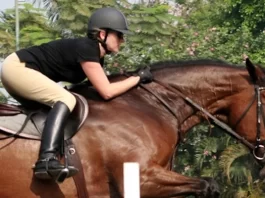 The Best 9 Horse Riding Classes in and Around Jakarta Trijaya Equestrian