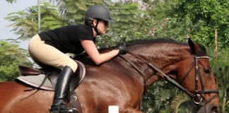 The Best 9 Horse Riding Classes in and Around Jakarta Trijaya Equestrian