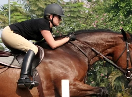The Best 8 Horse Riding Classes in and Around Jakarta The Best 9 Horse Riding Classes in and Around Jakarta Trijaya Equestrian