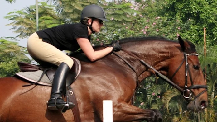 The Best 9 Horse Riding Classes in and Around Jakarta Trijaya Equestrian