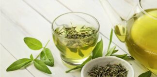 Why Is Green Tea The Healthiest Beverage In The World?