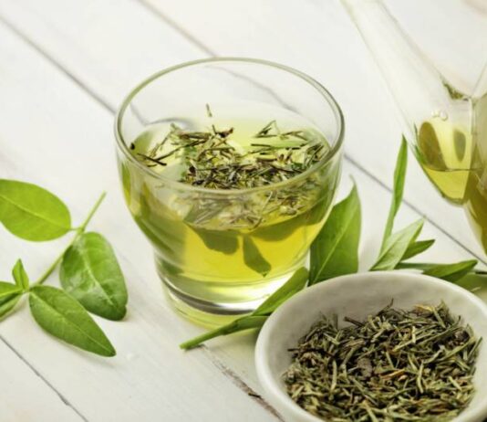 Why Is Green Tea The Healthiest Beverage In The World?