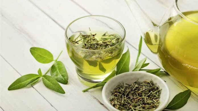 Why Is Green Tea The Healthiest Beverage In The World?