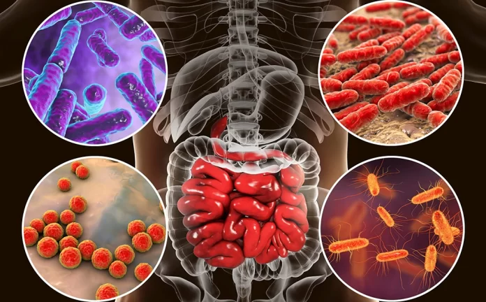 gut-flora-gut-microbiota-health-digestion