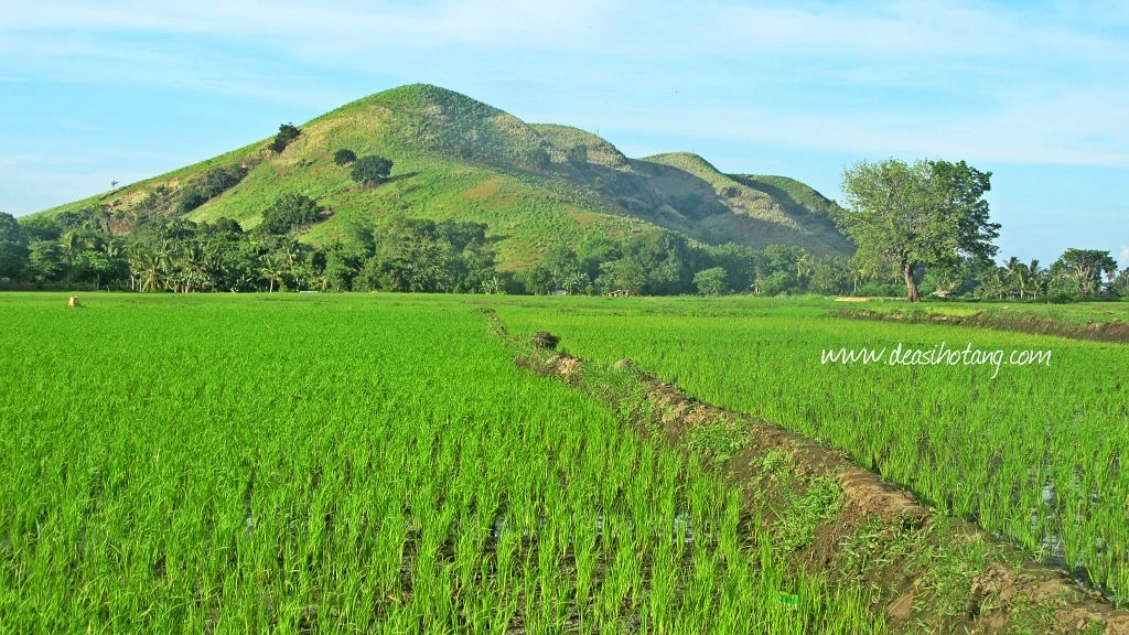 kolisia-village-is-located-in-magepanda-district-east-nusa-tenggara